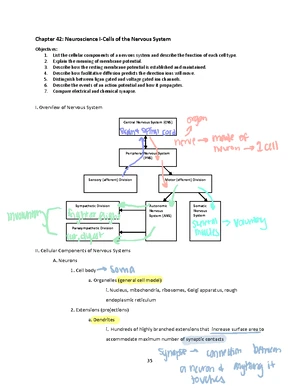 語学・辞書・学習参考書 Morphological Mouse Phenotyping Mouse Phenotypes: A Handbook of Mutation Analysis