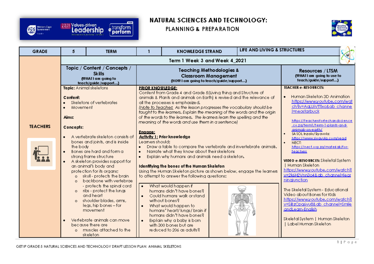 Grade 5 Natural Sciences & Tech: Lesson Plan on Animal Skeletons T1 W3 ...