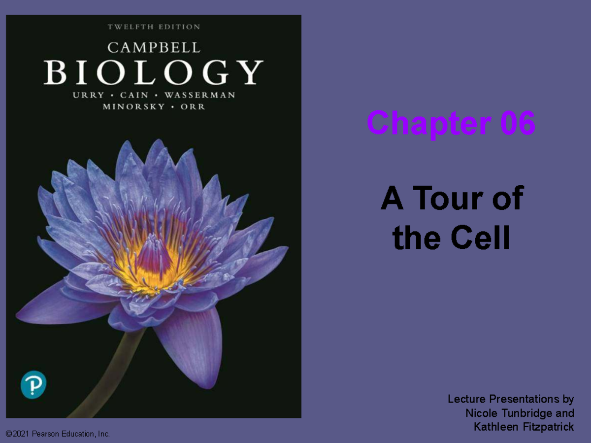 Chapter 06: A Tour of the Cell - Lecture Notes & Key Concepts - Studocu