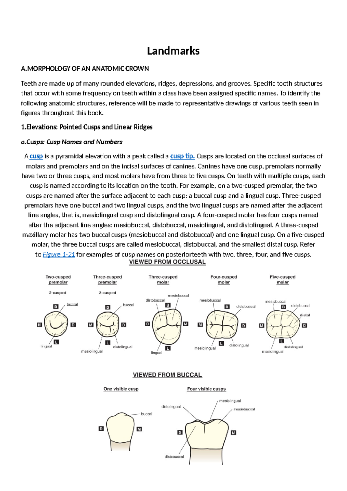 A.MORPHOLOGY OF AN ANATOMIC CROWN: Key Features of Teeth - Studocu