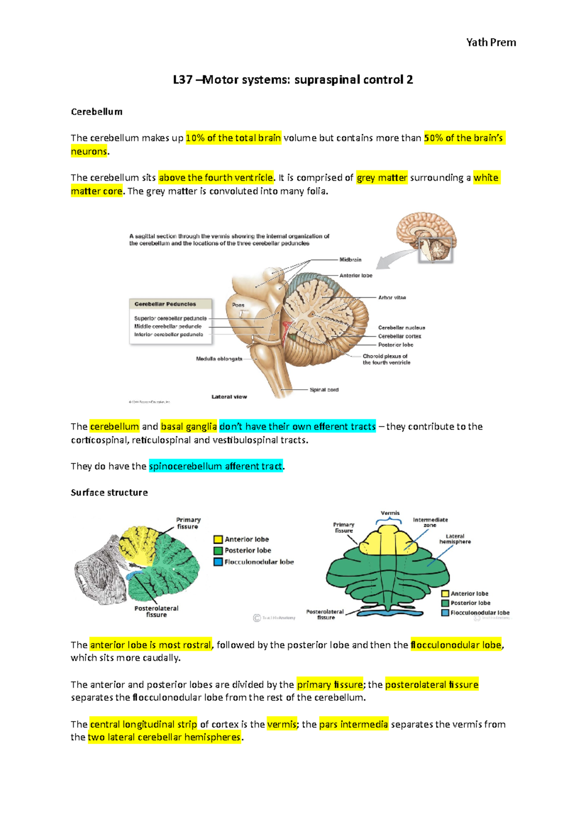 L37 - Motor Systems: Supraspinal Control II - Cerebellum & Basal ...