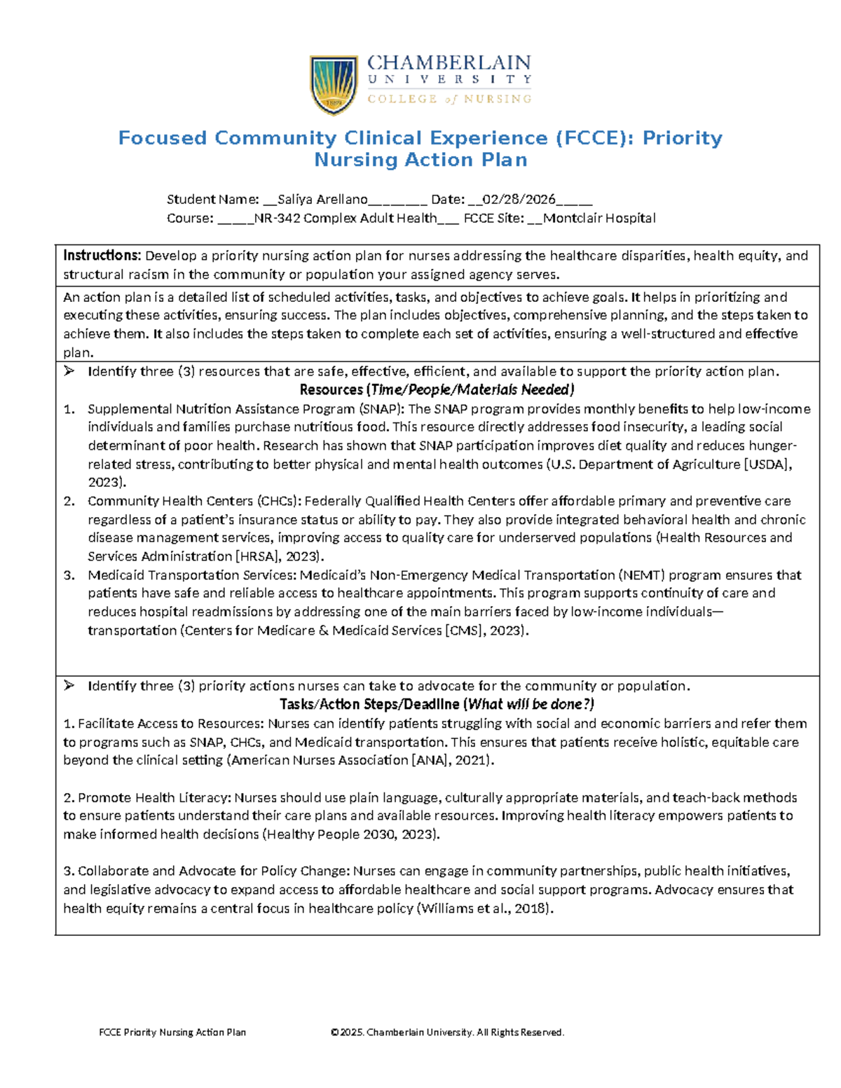 FCCE: Priority Nursing Action Plan for Health Equity & Disparities ...