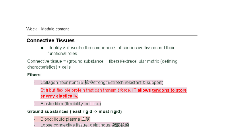 Bio E109 Midterm 1 Comprehensive Study Guide: Connective Tissues ...