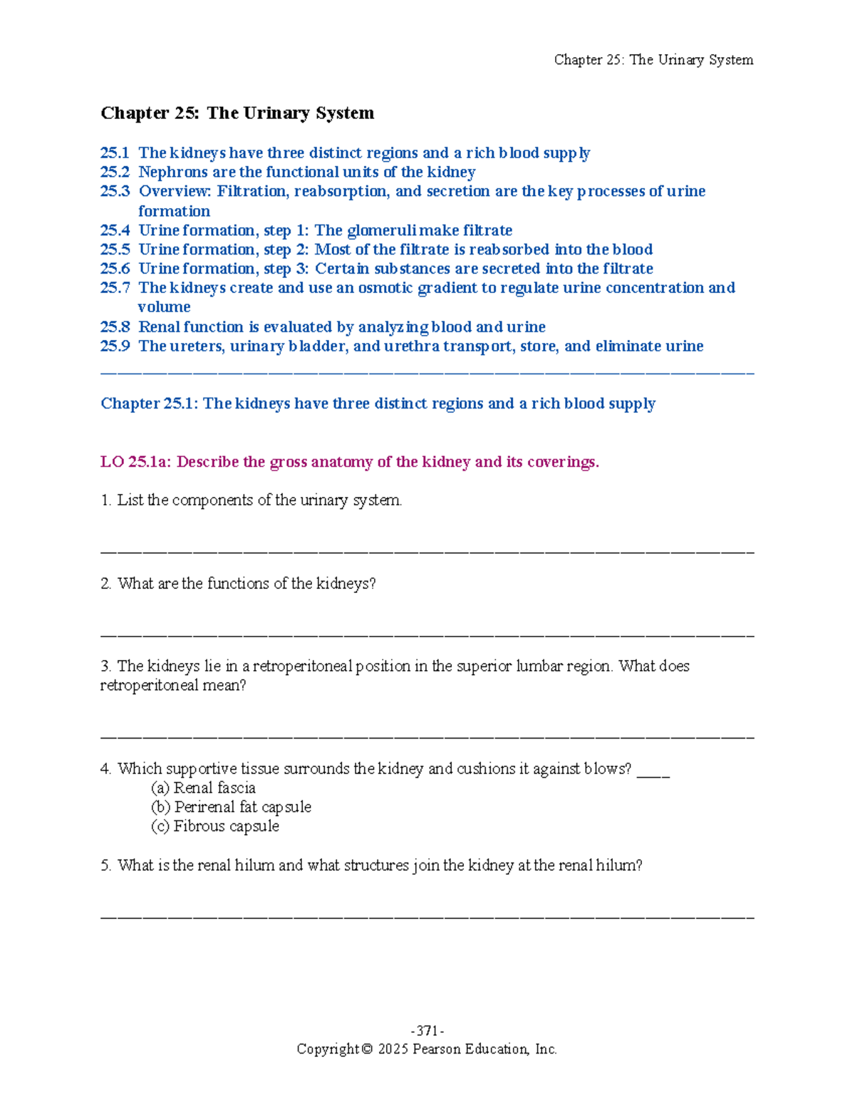 Urinary System Study Worksheet (BIO 2025): Chapter 25 Overview - Studocu