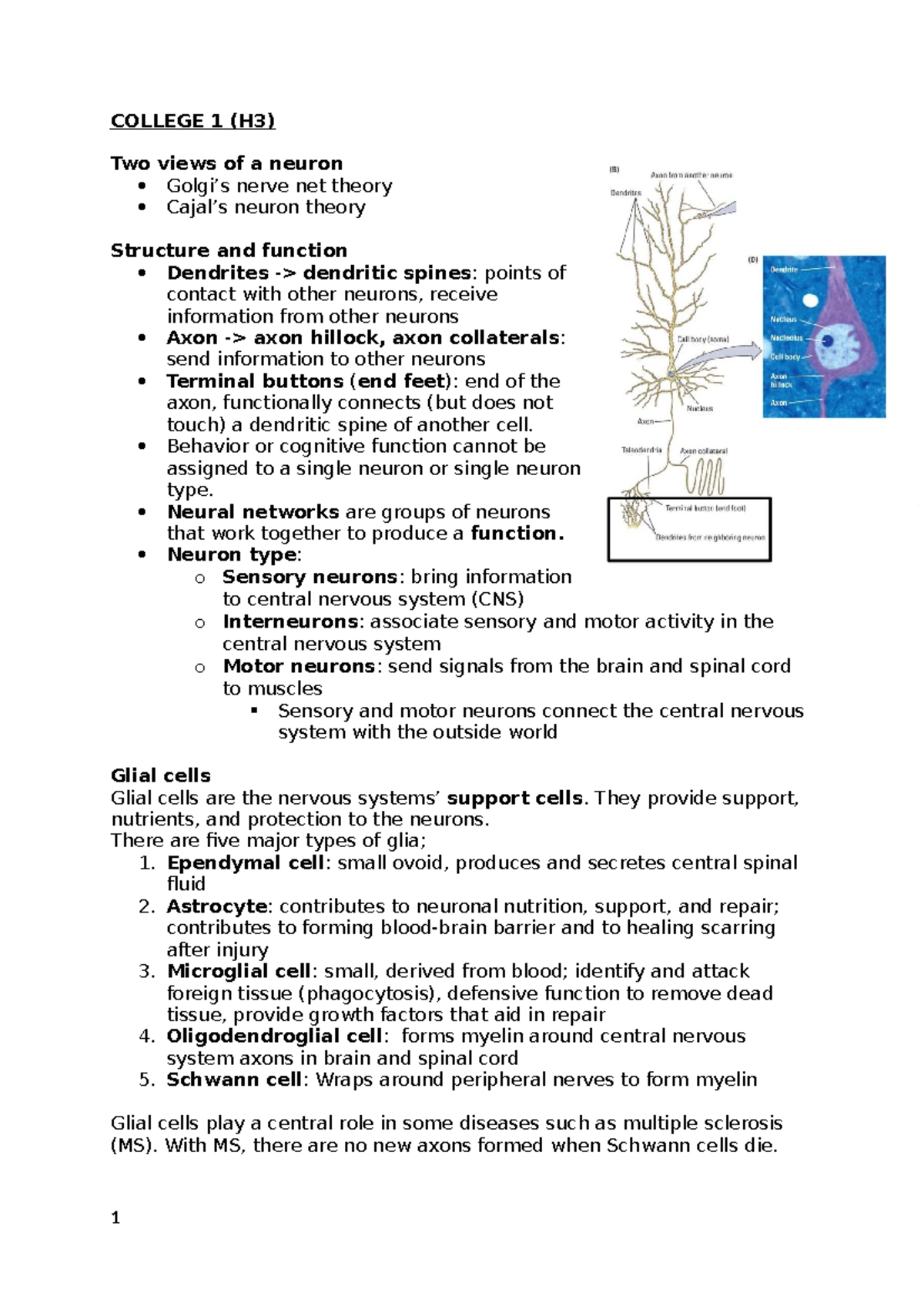 COLLEGE 1 (H3) Neuron Structure, Function, and Neural Communication ...