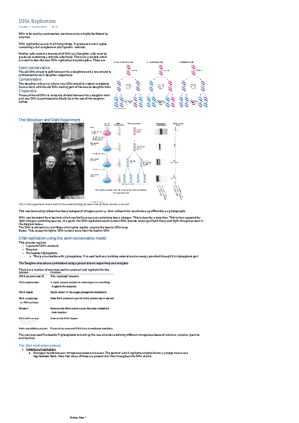 DNA Replication - First Year Notes for Biology 101 - Studocu