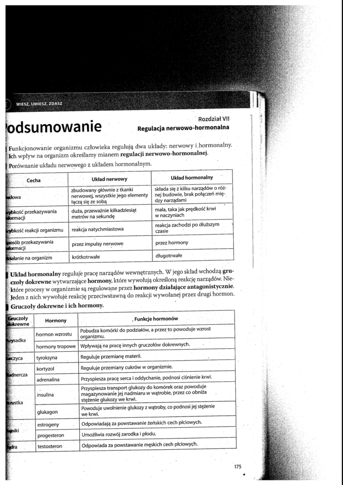 821058667 Regulacja Nerwowo-Hormonalna Klasa 7 Podsumowanie Tekst