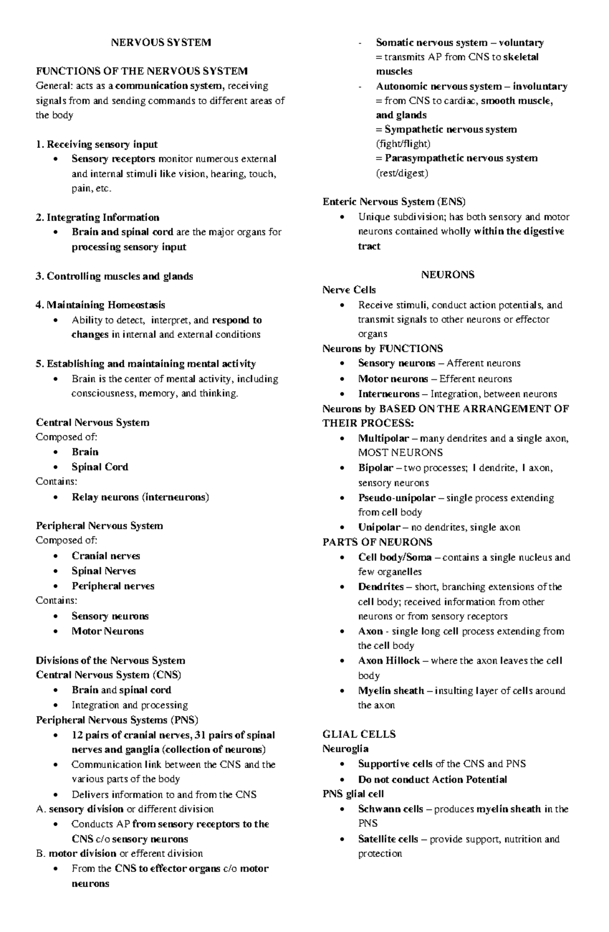 Nervous System Overview and Functions - Lecture Notes (BIOL 101) - Studocu