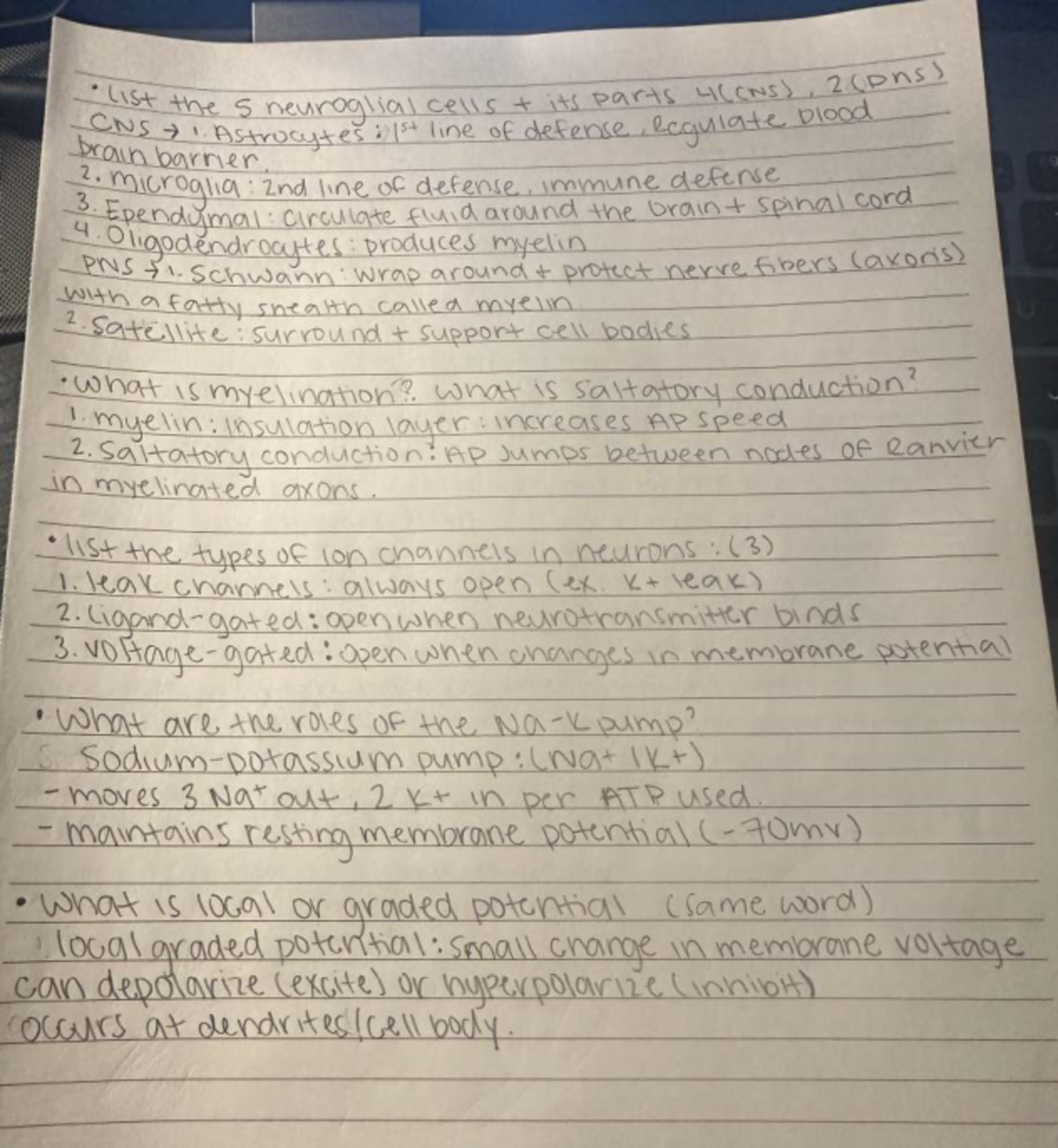 CNS Exam 1 Study Guide: Neuroglial Cells & Neuron Functions - Studocu