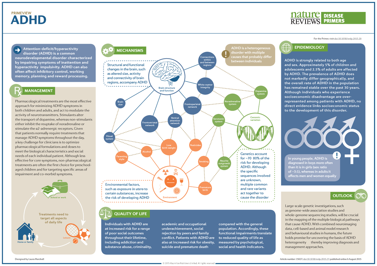 ADHD Management and Mechanisms: Insights from 2015 Research (ADHD-2015 ...