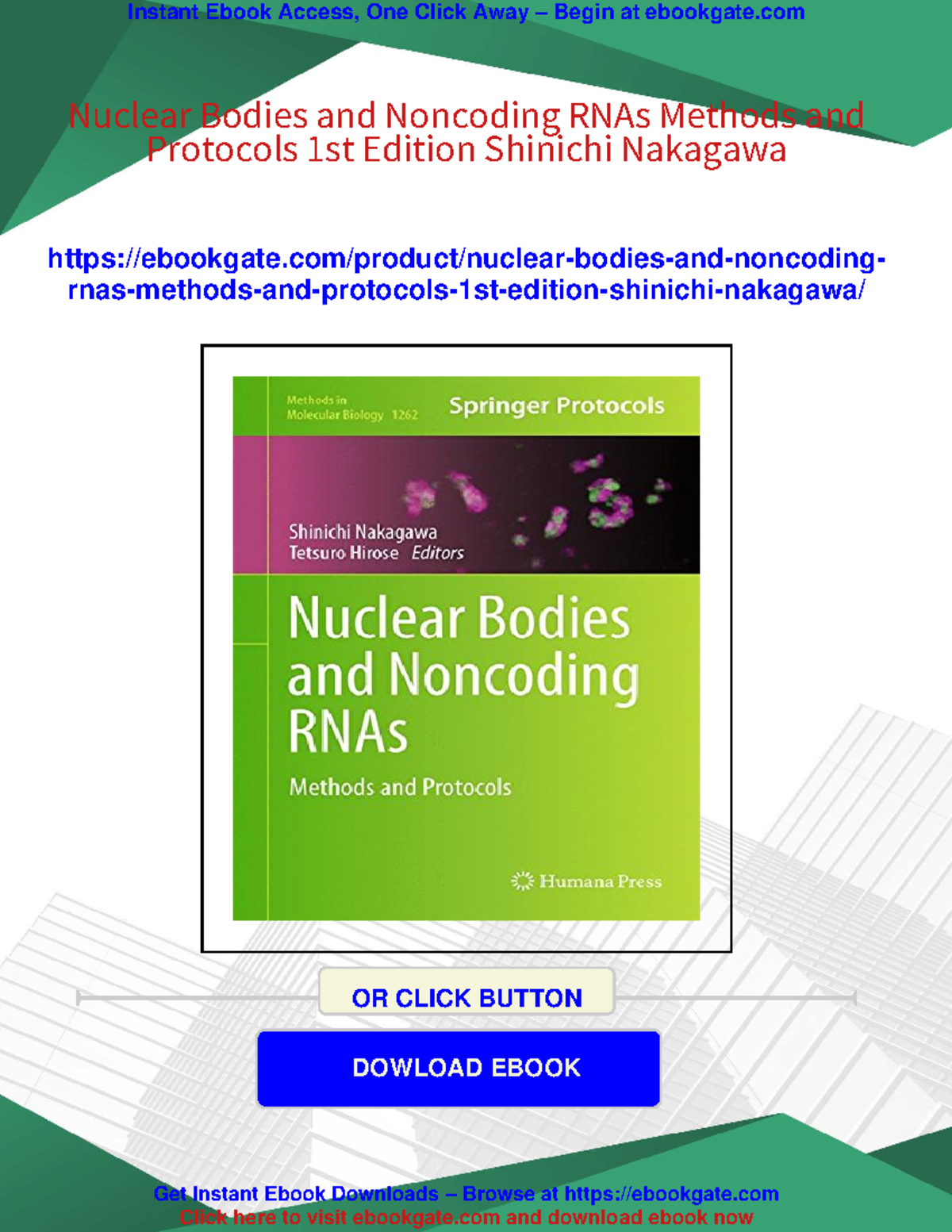 Nuclear Bodies and Noncoding RNAs: Methods and Protocols (1st Ed ...