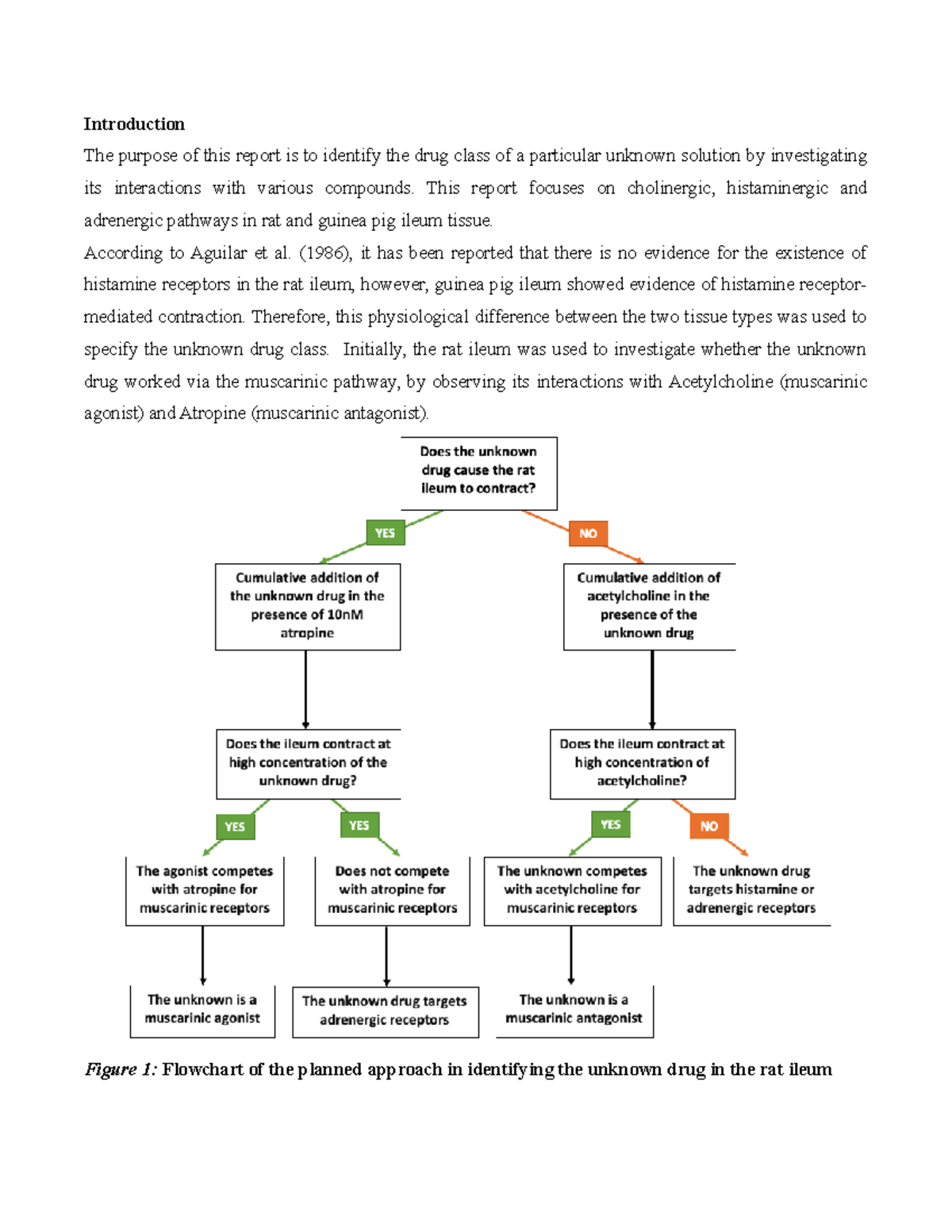 BIOM3401 Identification of Unknown(s) Practical Report - Introduction ...