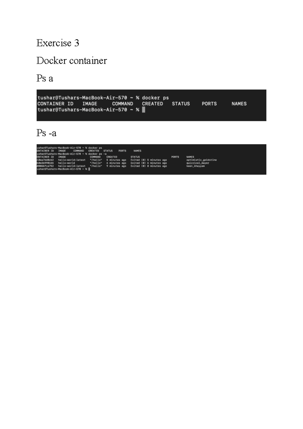 Exercise 3 - Docker Container Management and Status Overview - Studocu