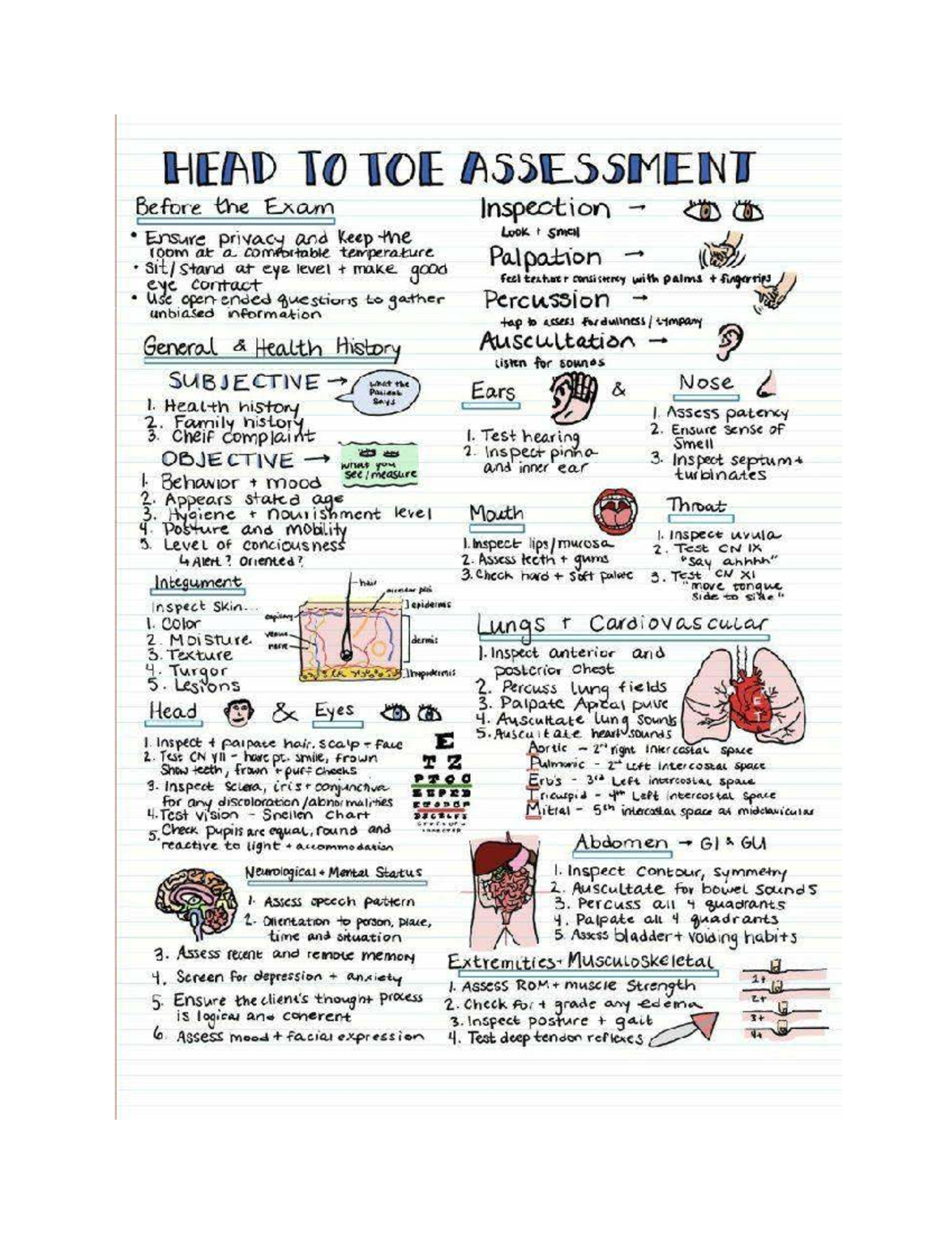 NUR 101: Head to Toe Assessment Guide for Nursing Students - Studocu
