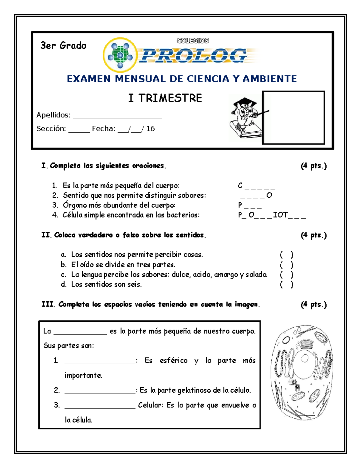 3er Grado EXAMEN MENSUAL DE CIENCIA Y AMBIENTE I TRIMESTRE - EVA Marzo ...