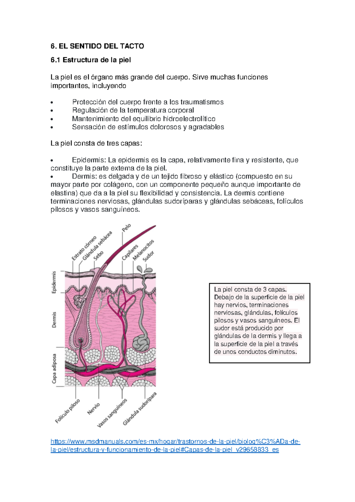 EL Sentido DEL Tacto - QUE HACE COMO FUNCIONA - 6. EL SENTIDO DEL TACTO ...