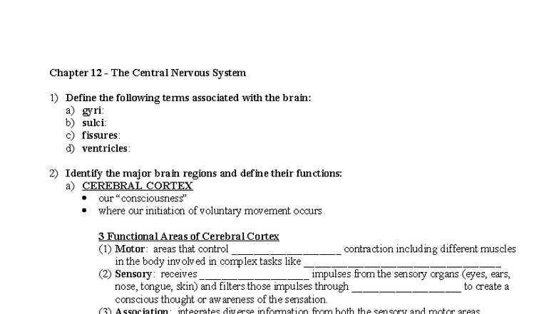 CNS 101: Key Concepts and Definitions of the Central Nervous System ...