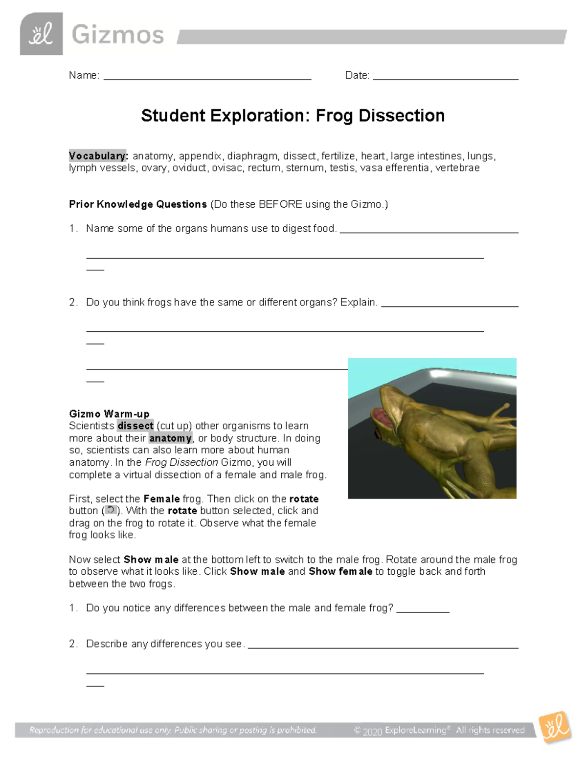 Frog Dissection SE: Exploring Anatomy and Organ Systems in 2020 - Studocu