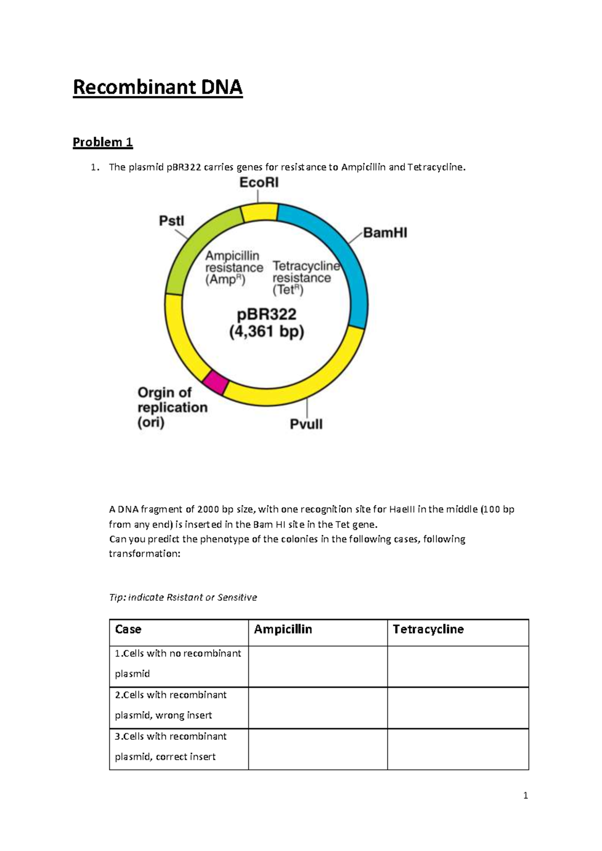 Recombinant DNA Problems - Practice Questions (Bio 101) - Studocu