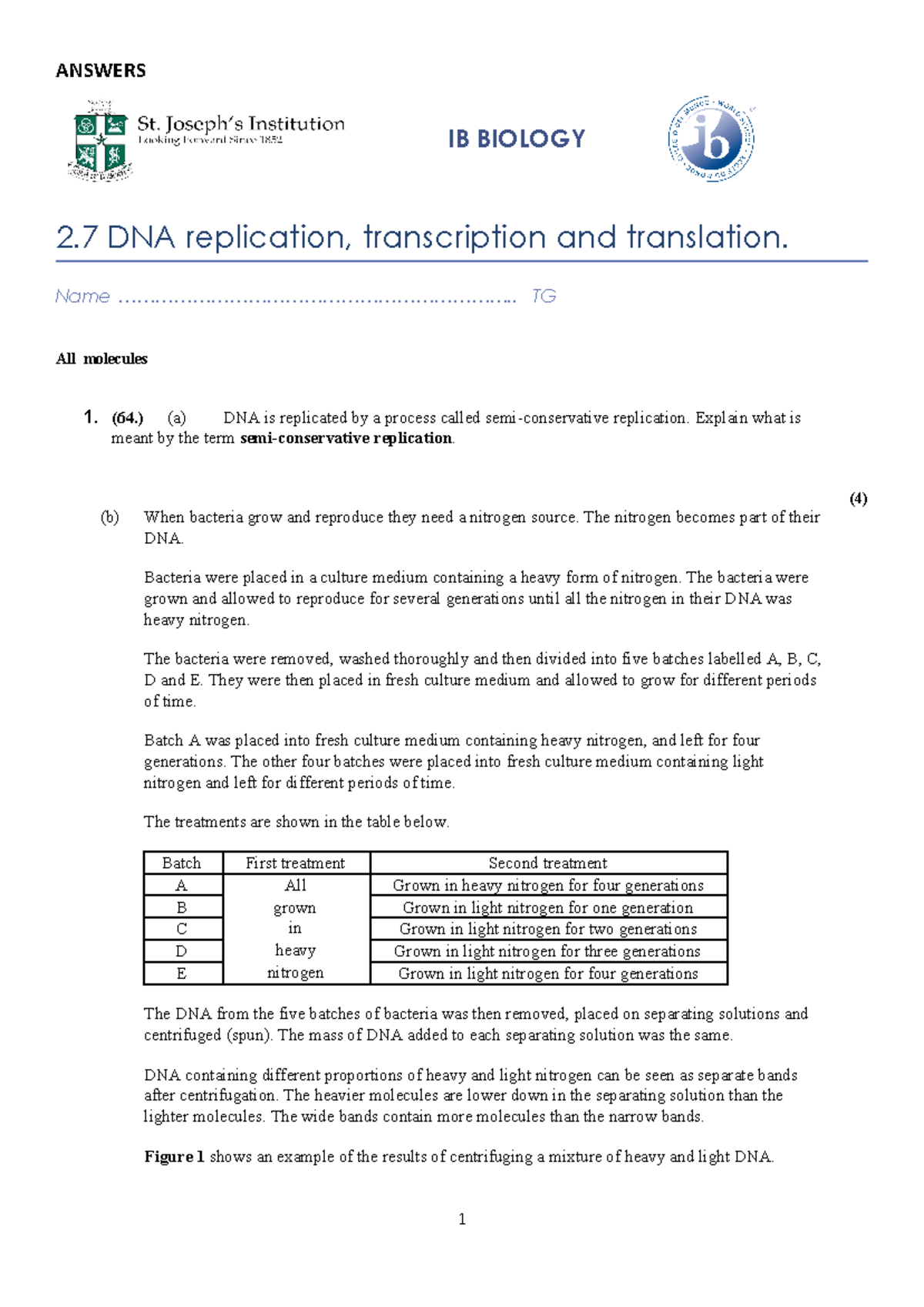 **IB BIOLOGY: DNA Replication, Transcription, and Translation Notes ...