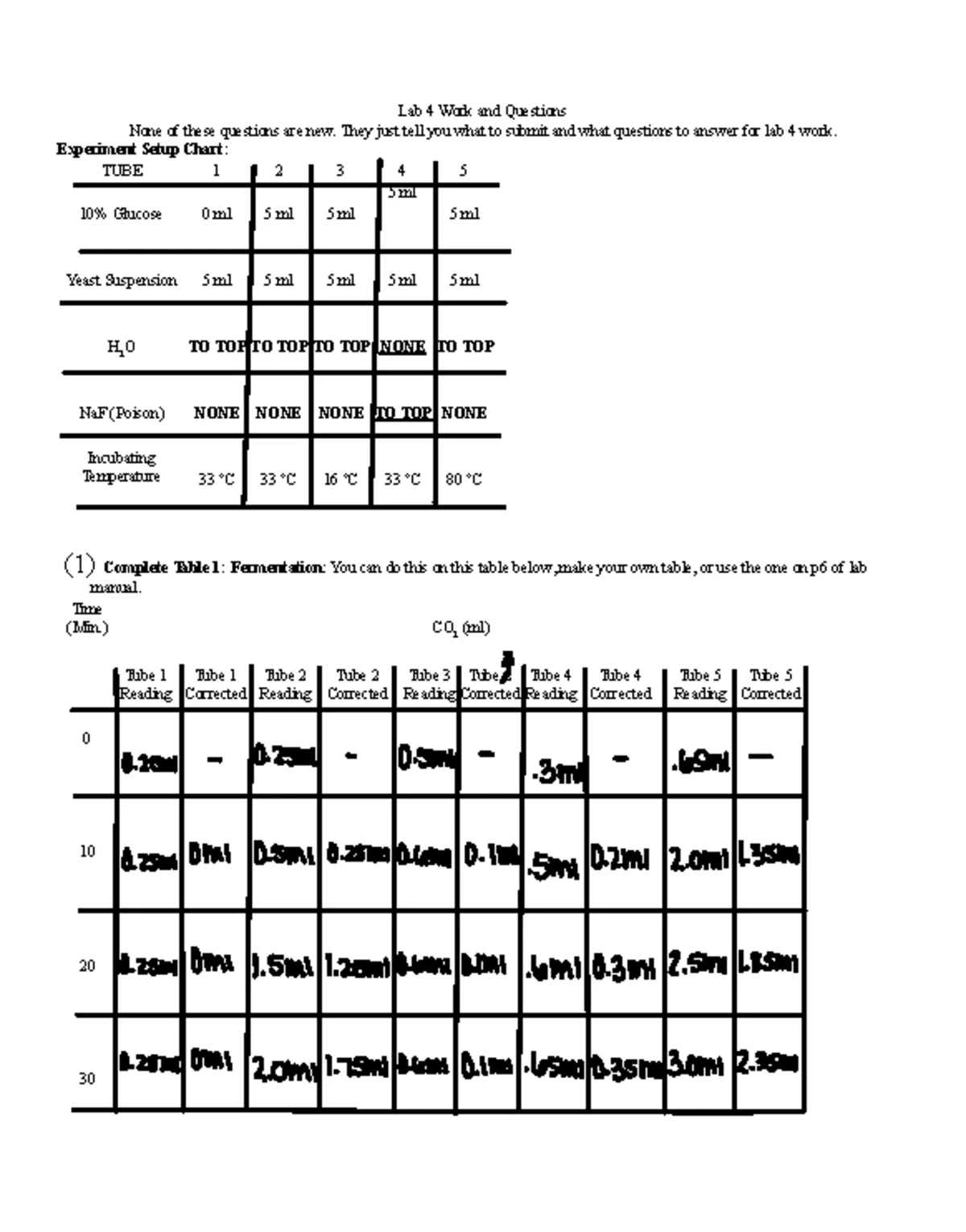 Lab 2: Diffusion and Osmosis Experiment Analysis - Studocu