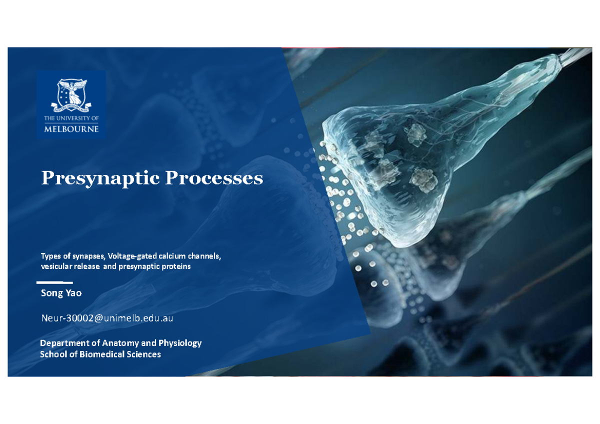 Presynaptic Processes: Neurotransmitter Release & Mechanisms (Neur30002 ...