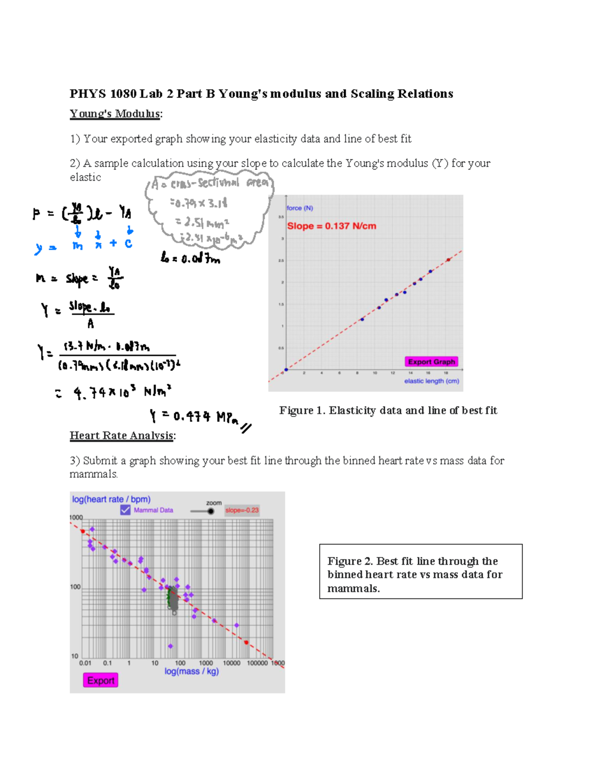 PHYS 1080 Lab 2: Modulus and Scaling Relations Analysis - Studocu