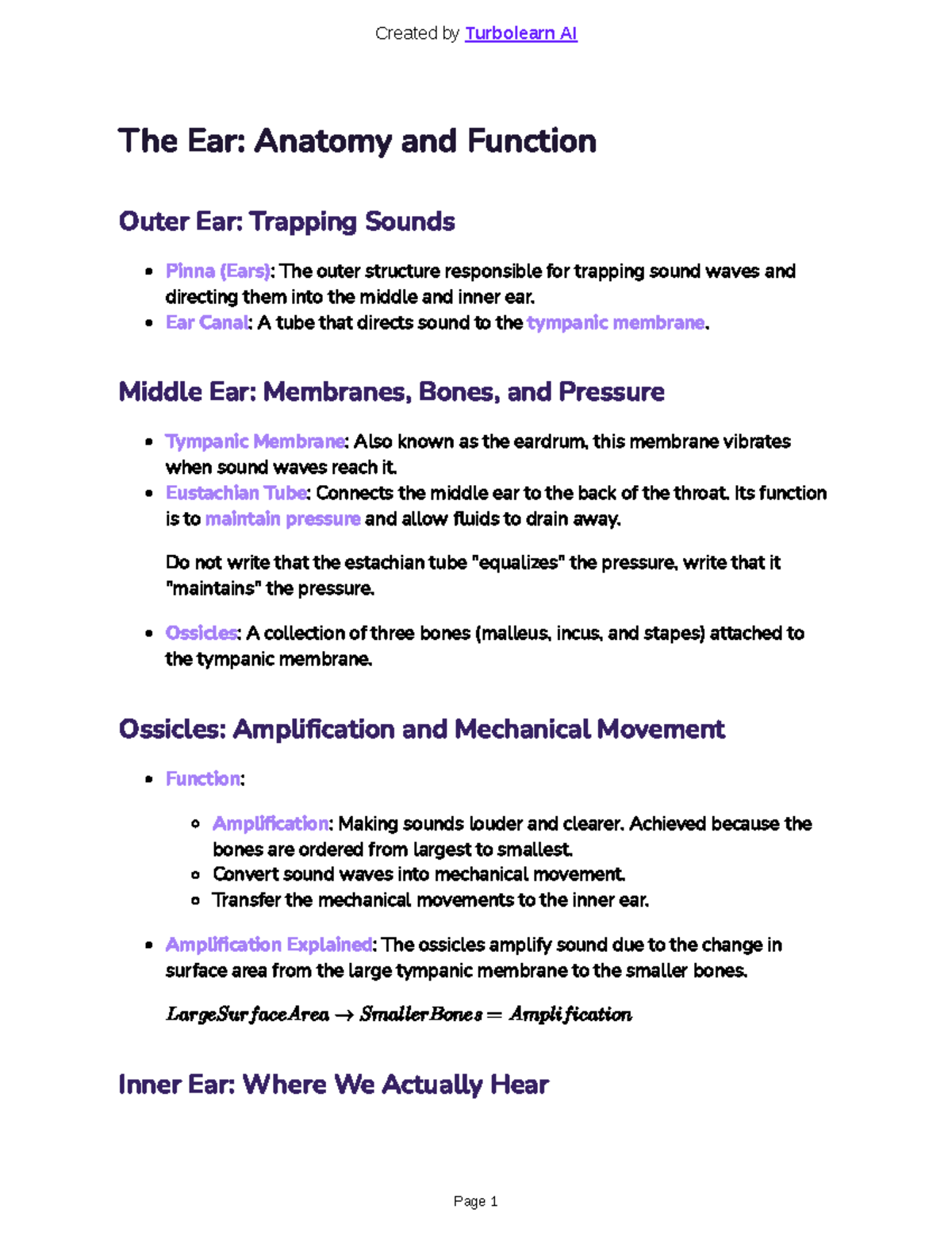 Anatomy and Function of the Ear: A Study Guide for BIO101 - Studocu