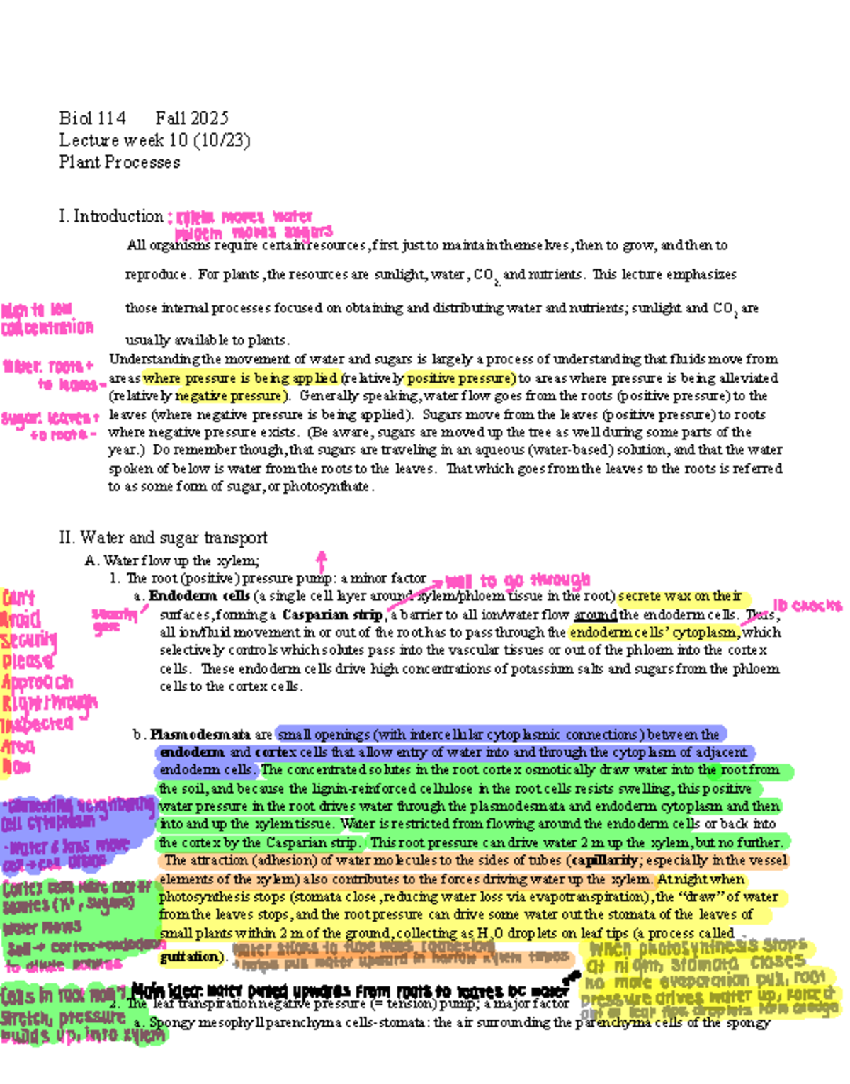 Biol 114 Fall 2025 Lecture Week 10: Plant Processes Overview - Studocu
