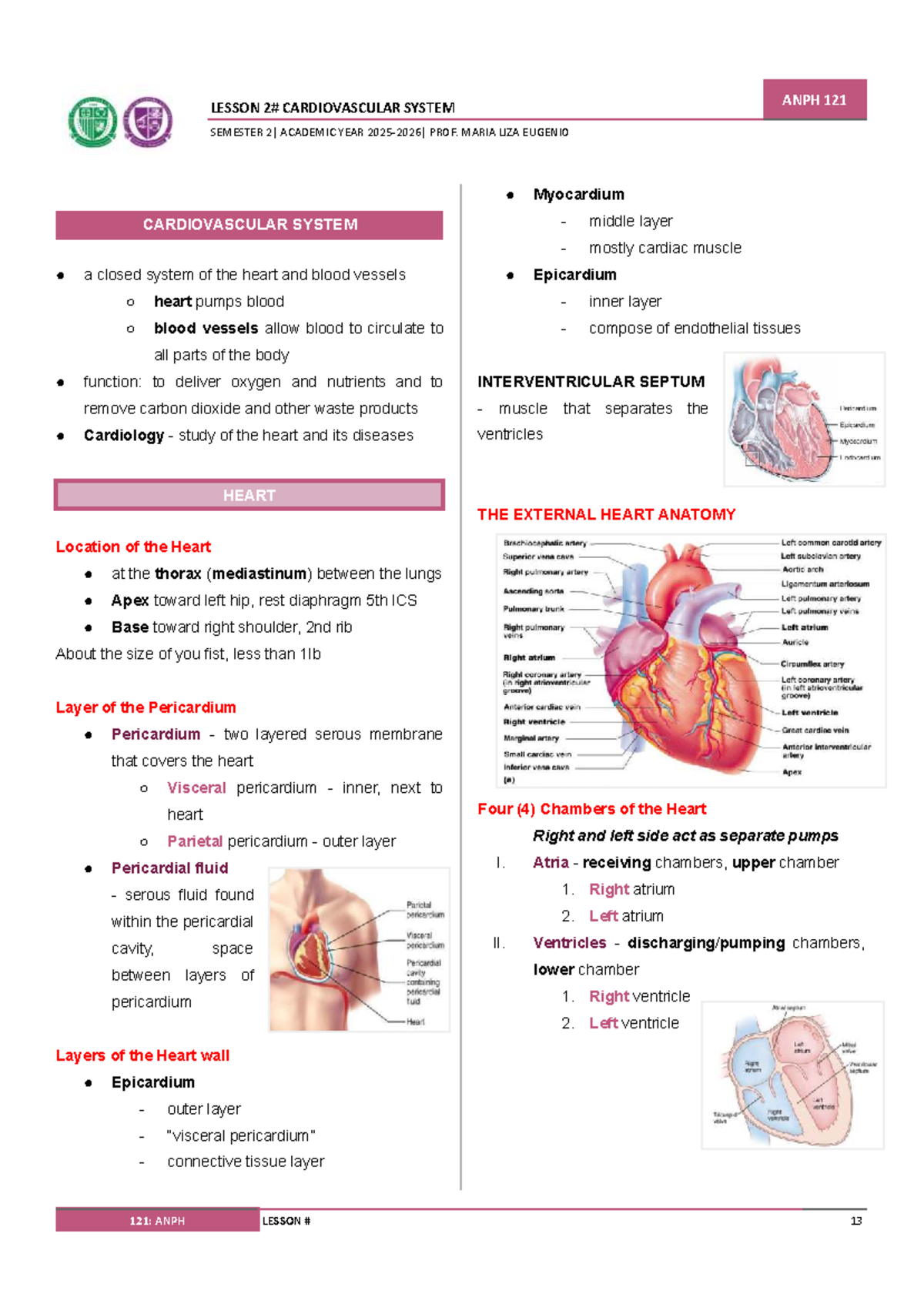 ANPH 121 LESSON: CARDIOVASCULAR SYSTEM OVERVIEW AND KEY CONCEPTS - Studocu