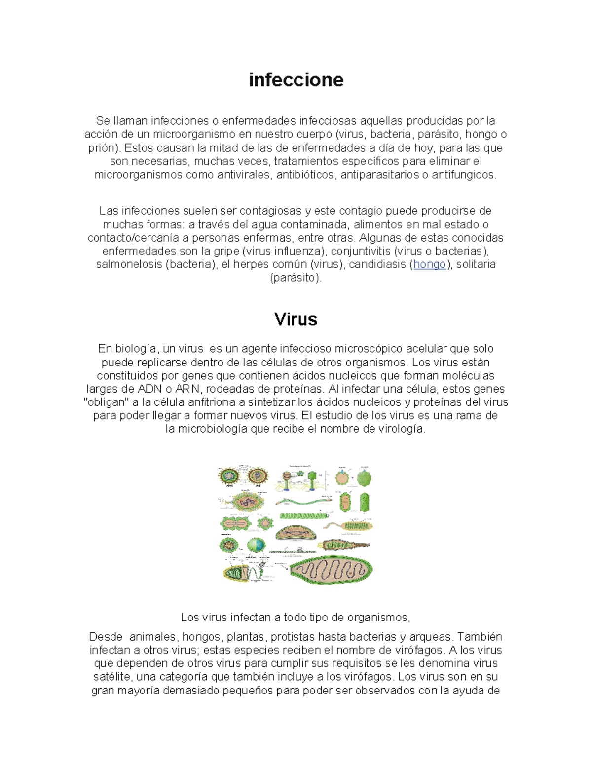 Infecciones y Microorganismos: Estudio de Enfermedades Infecciosas ...