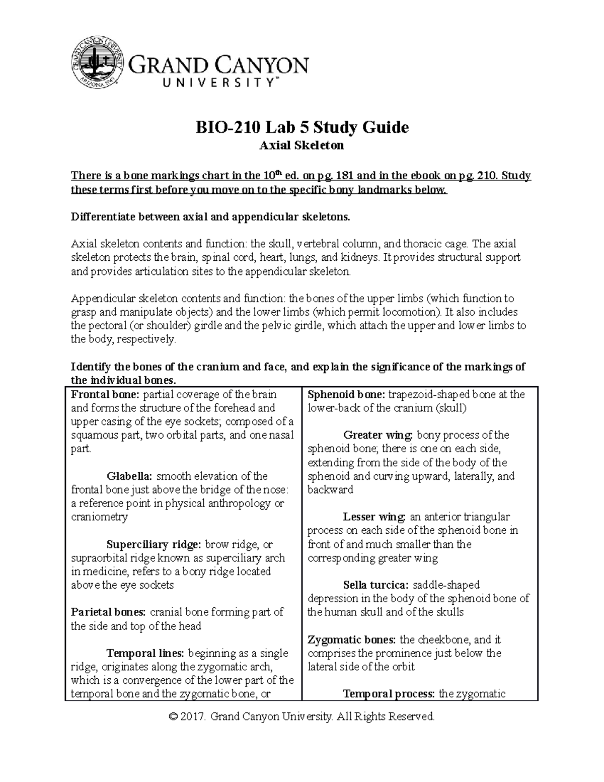 BIO-210 Axial Skeleton Lab 5 Study Guide and Key Concepts - Studocu