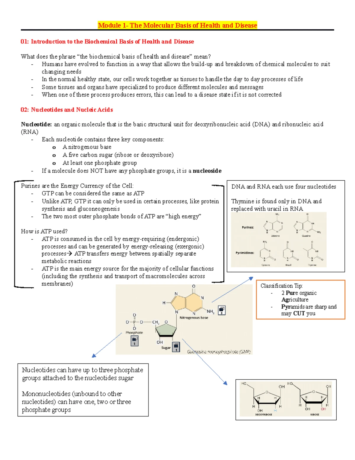 BCHM 270 NS25 Module 1 & 2 Biochemical Techniques Homework - Studocu