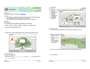 Biodiversity notes PDF - The Amazing Diversity of Life Biodiversity ...