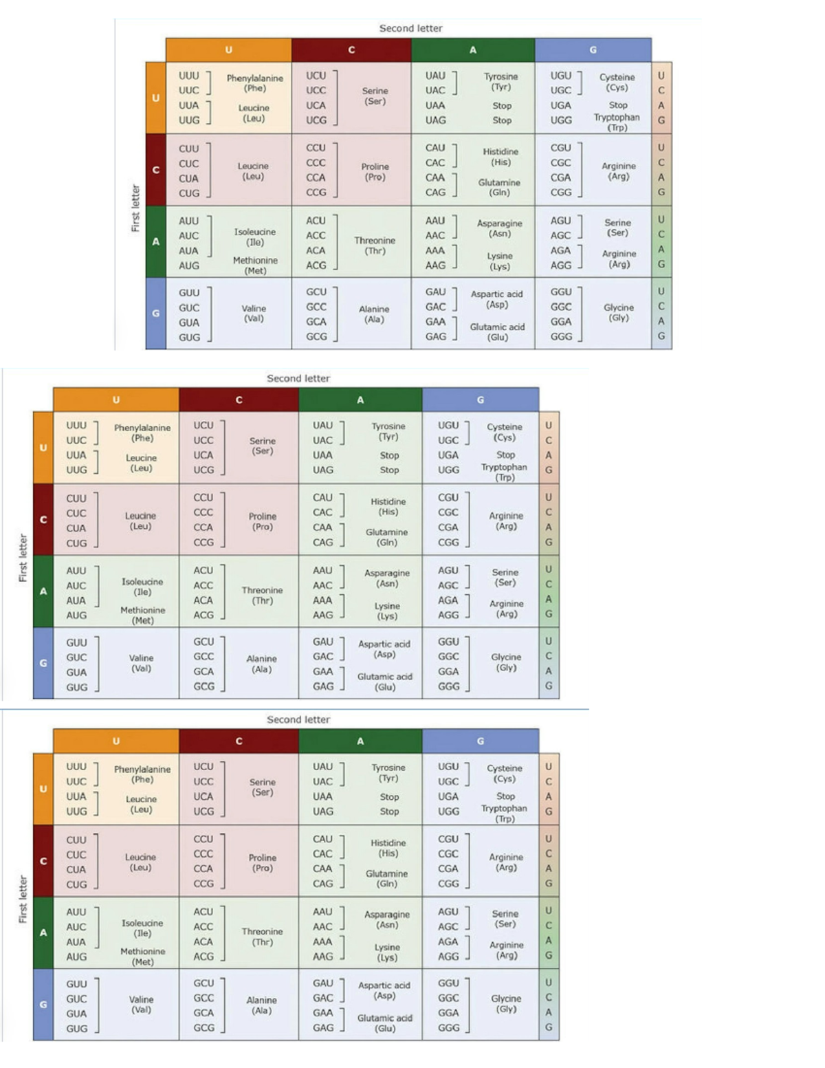 Genetic Code Table: Amino Acids and Codons (BIO101) - Studocu