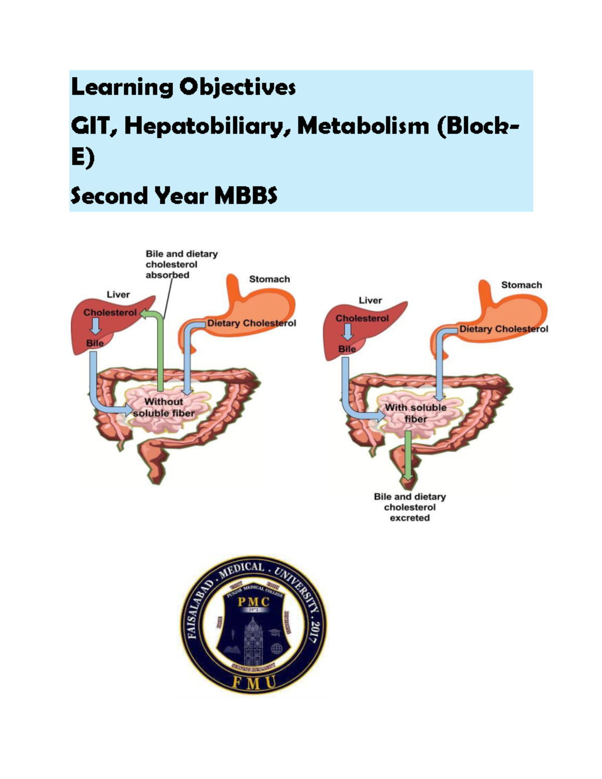 Study Guide for GIT, Hepatobiliary, and Metabolism (Block E) - 2nd Year ...