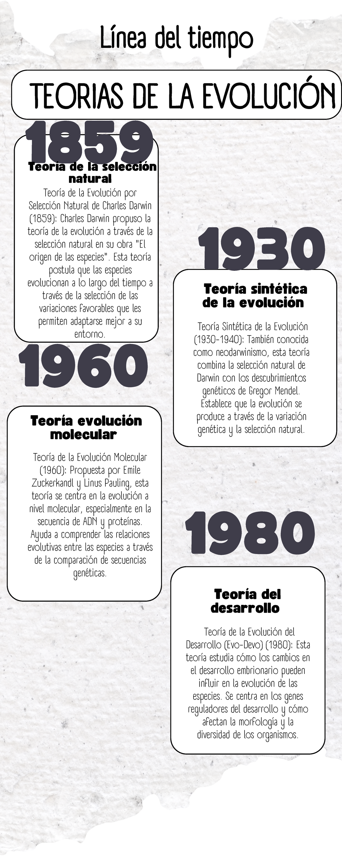 Teoras Del Origen Y Evolucin De La Vida Timeline 768x932