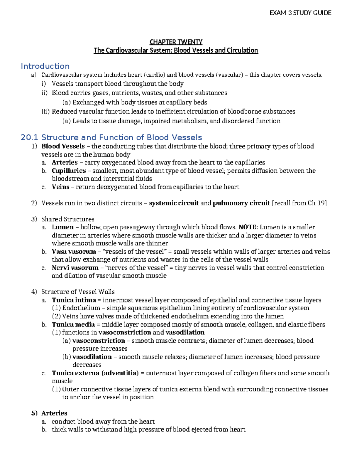 EXAM 3 Study Guide - nnbubob - CHAPTER TWENTY The Cardiovascular System ...