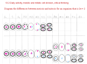 Biology 101: Exam 3 Study Guide - Cell Structure & Function - EXAM 3 ...