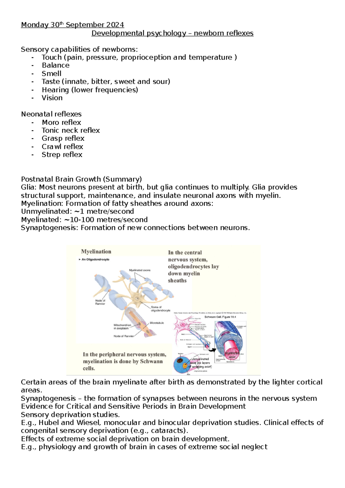 Developmental psychology – newborn reflexes - Monday 30th September ...