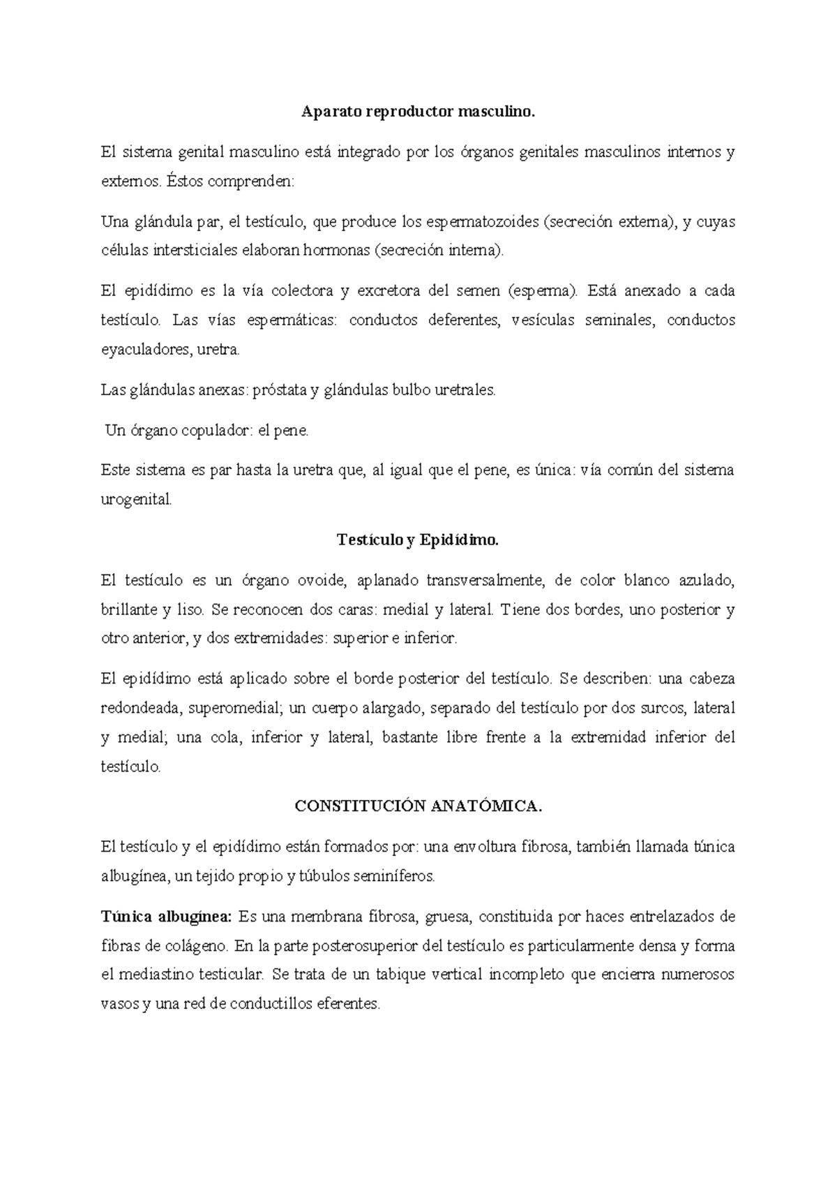 Exposición sobre el Aparato Reproductor Masculino - Studocu
