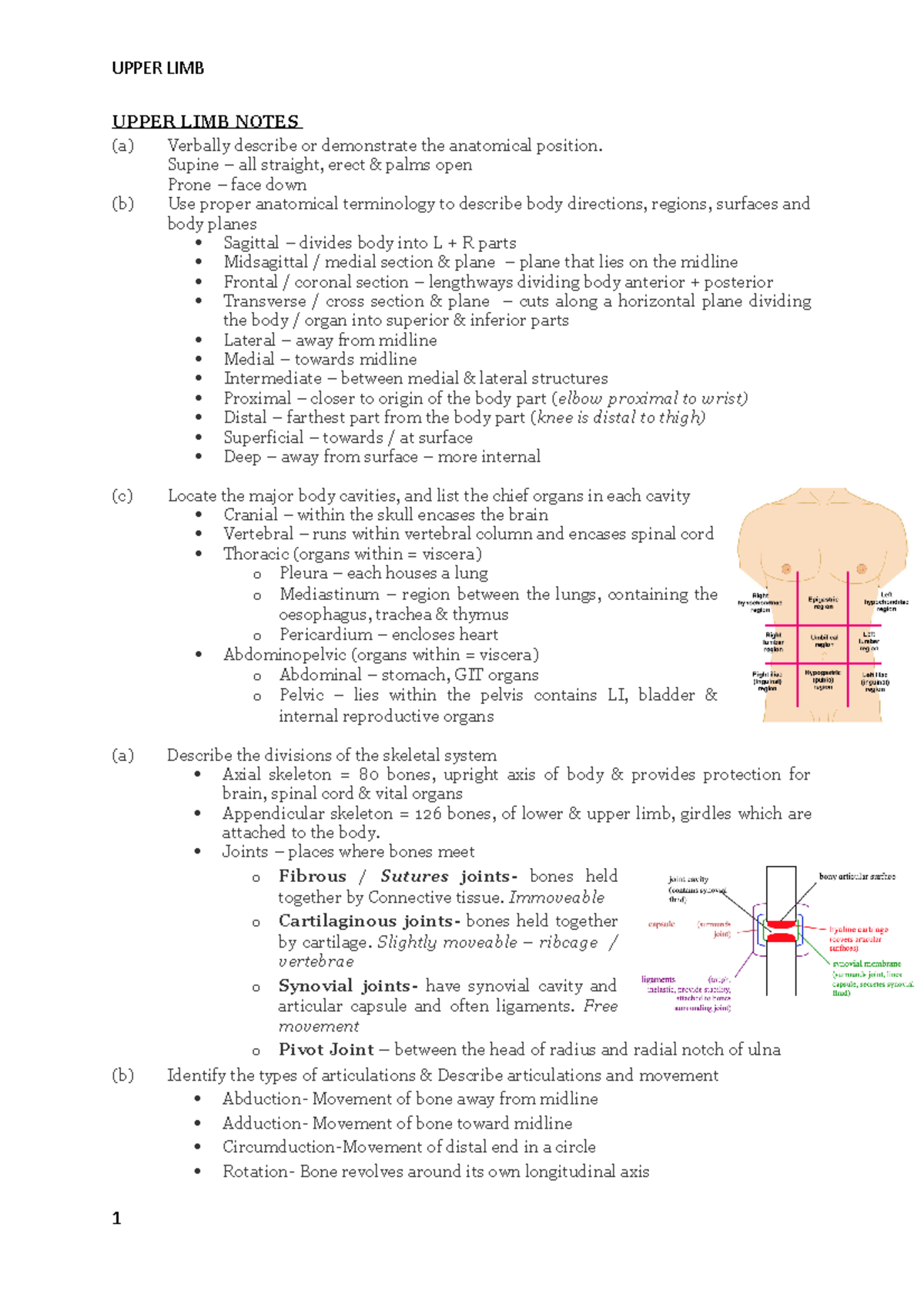 Anatomy Upper Limb Notes