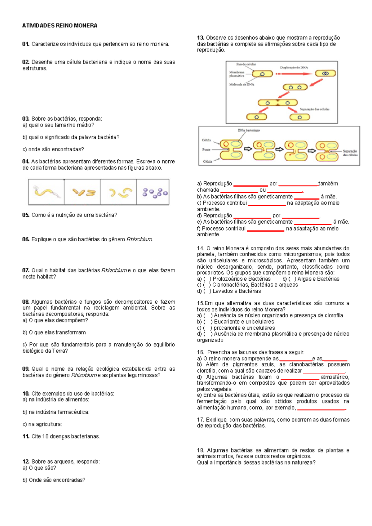 Atividades sobre o Reino Monera - Bio1 - Studocu