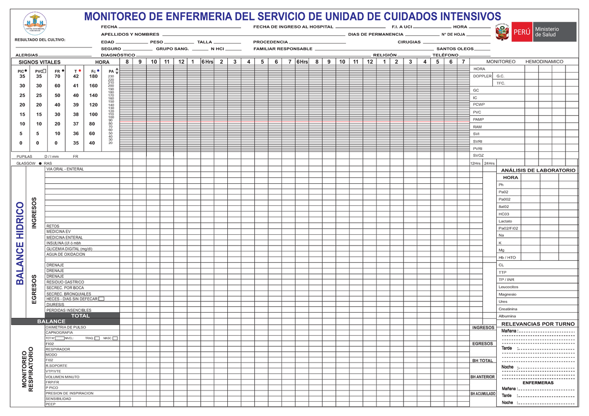 Monitoreo UCI: Hoja de Registro de Signos Vitales y Análisis - Document Preview