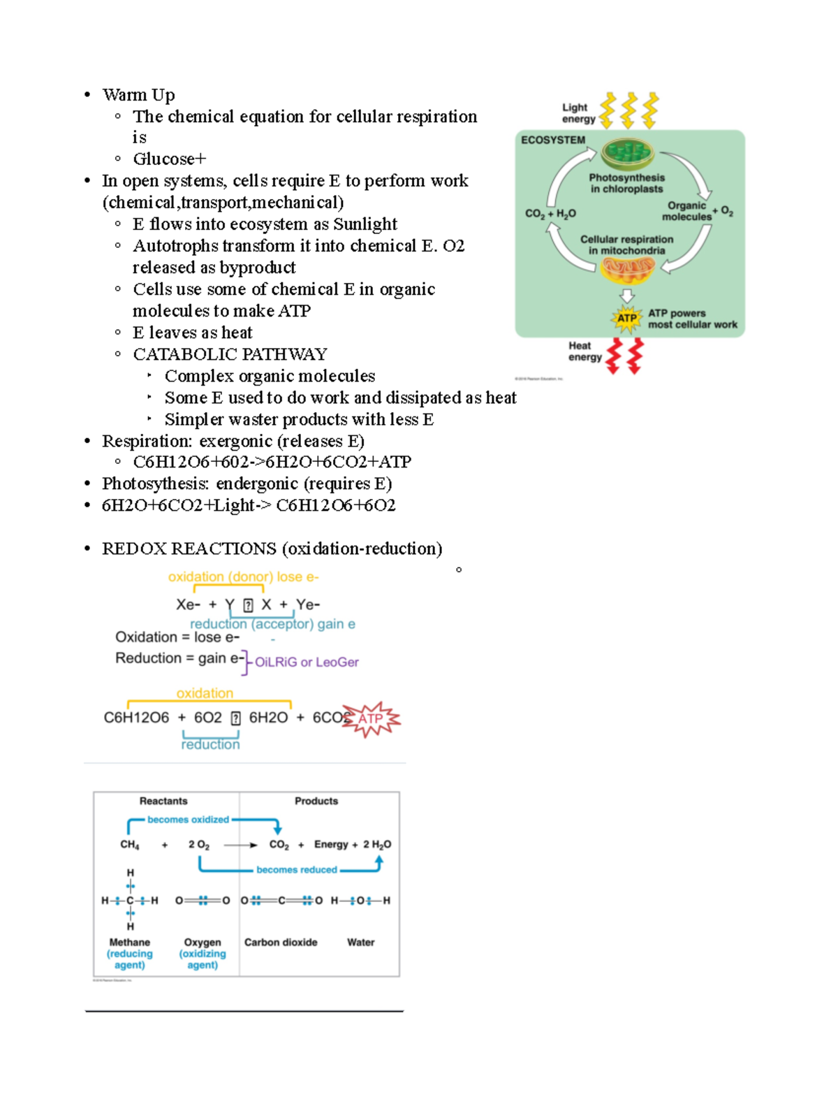 Cellular respiration and Redox reaction - Warm Up The chemical equation ...