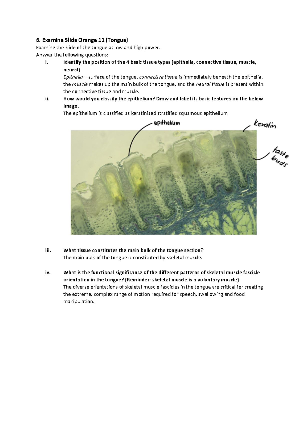 Histology Prac 1 Q6 - Tongue Tissue Examination and Analysis - Studocu