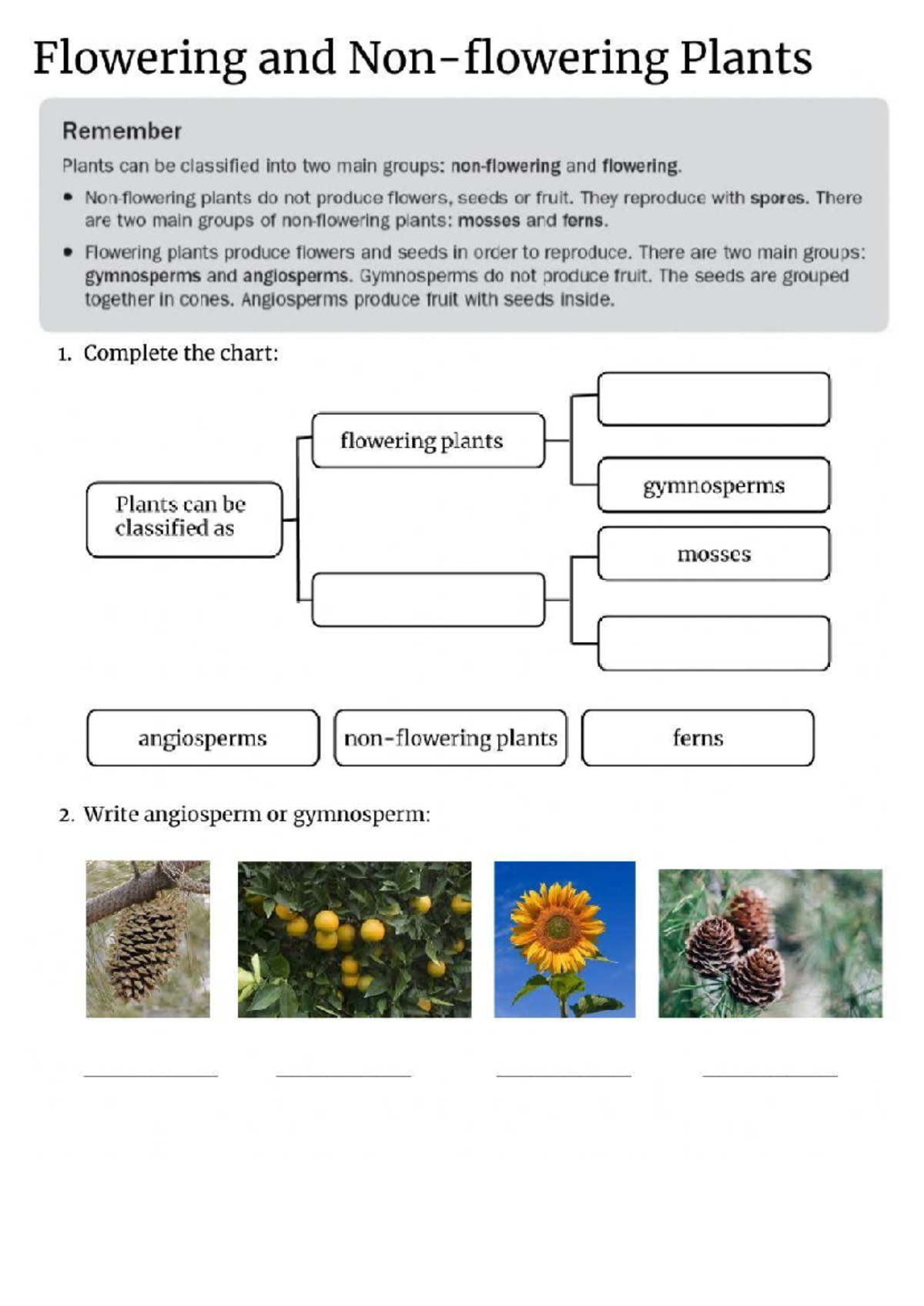 Worksheet 225195 - Classification of Flowering and Non-Flowering Plants ...