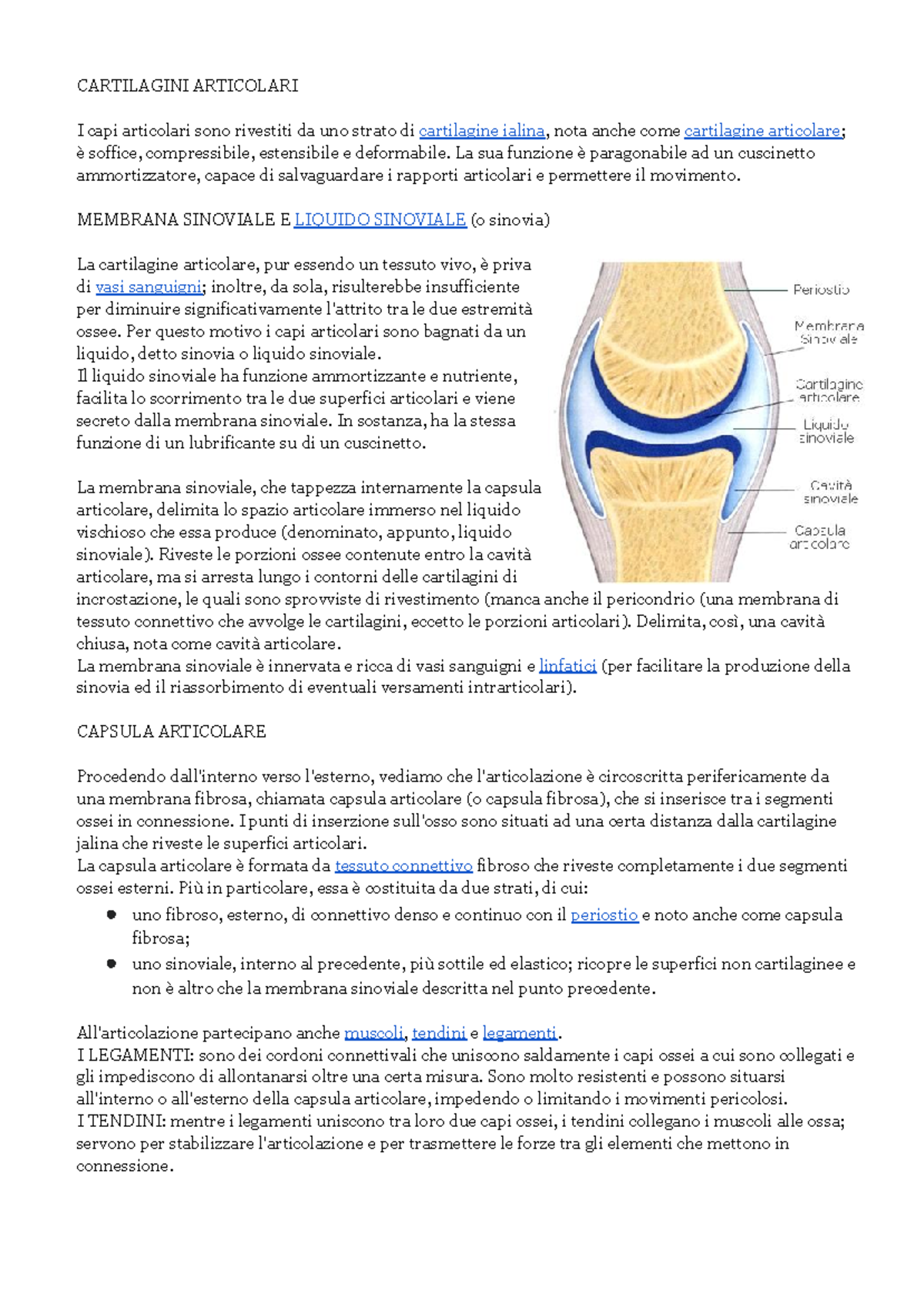 Appunti sul Sistema Locomotore e le Articolazioni