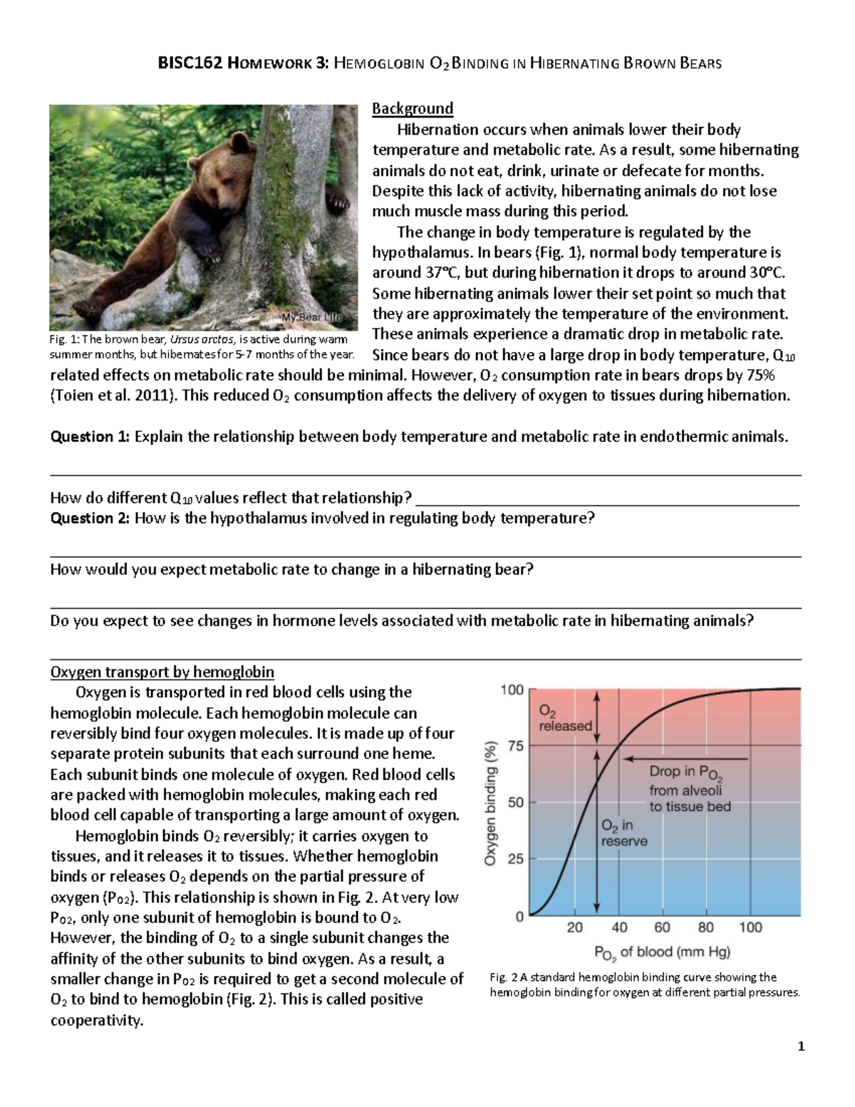 BISC162 Homework 3: Hemoglobin O2 Binding in Hibernating Bears - Studocu