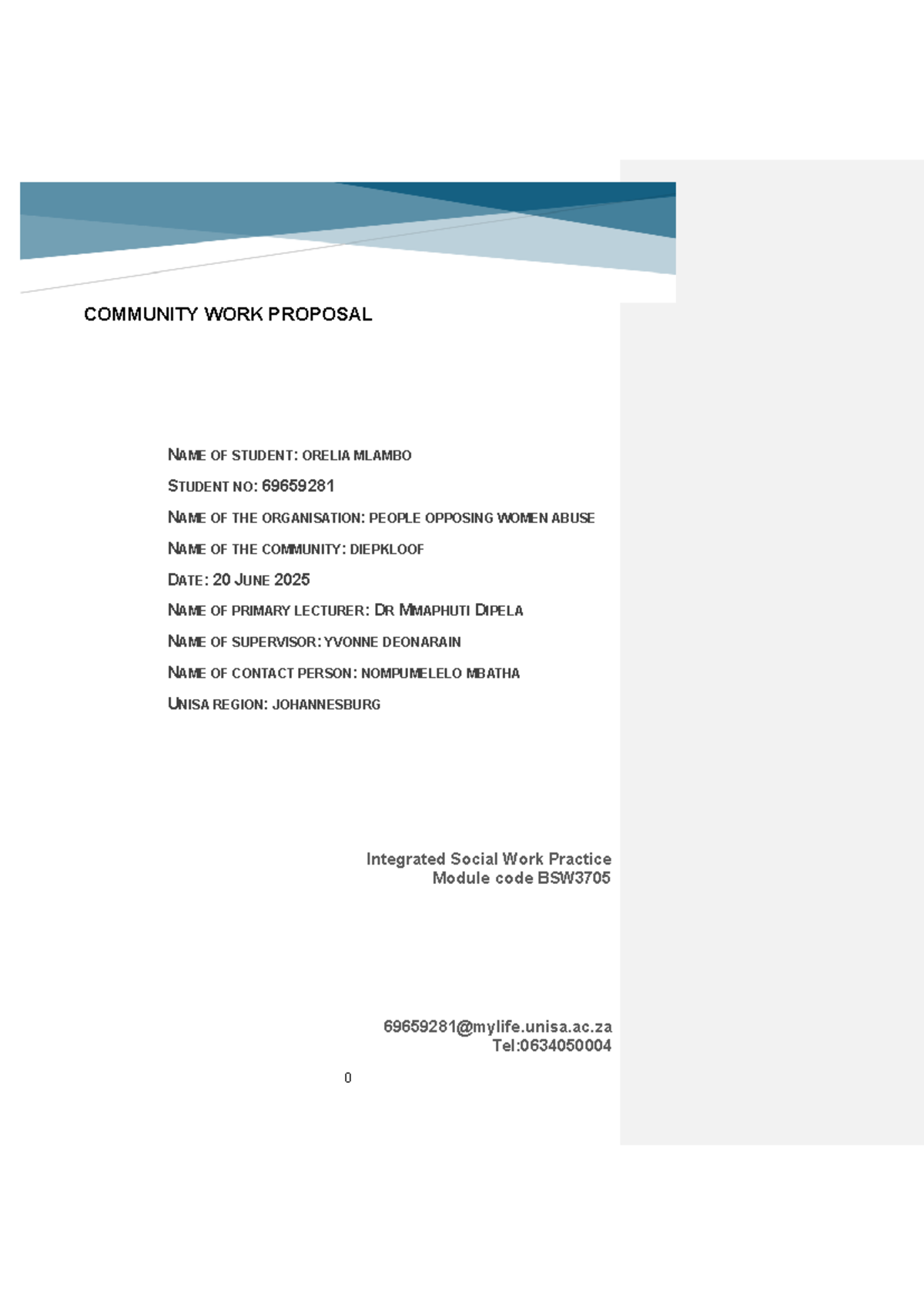 BSW3705 Community Work Proposal: Voices for Change Project on Domestic ...